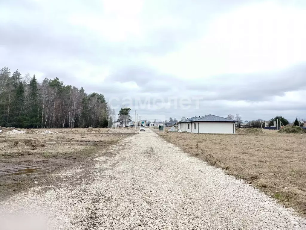 Участок в Московская область, Богородский городской округ, с. Ямкино ... - Фото 2