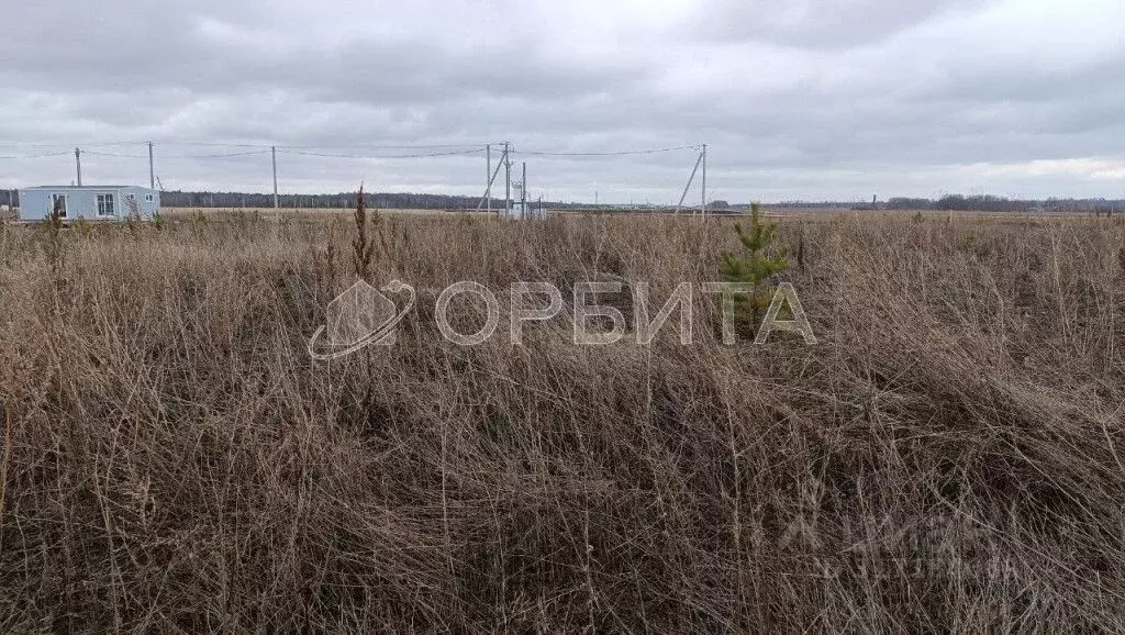 Участок в Тюменская область, Тюменский район, д. Малиновка, Малиновка ... - Фото 1