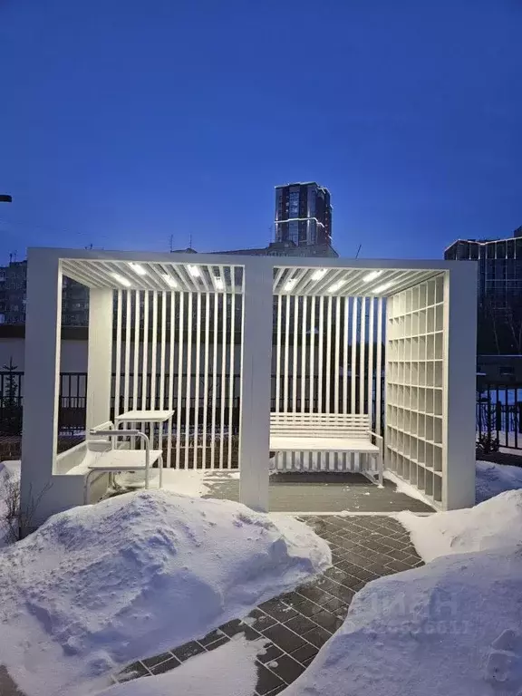 Студия Новосибирская область, Новосибирск Красный просп., 236 (22.0 м) - Фото 2