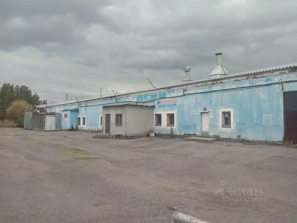 Помещение свободного назначения в Свердловская область, Краснотурьинск ... - Фото 1