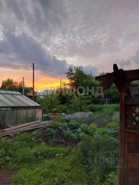 Дом в Хакасия, с. Таштып ул. Марии Цукановой (244 м) - Фото 2