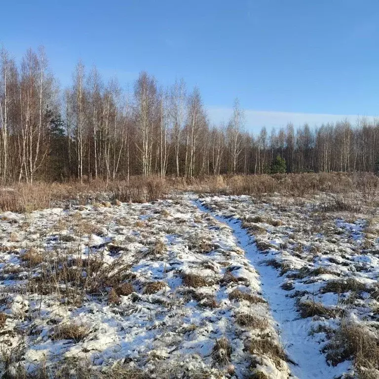 Участок в Московская область, Павлово-Посадский городской округ, д. ... - Фото 1