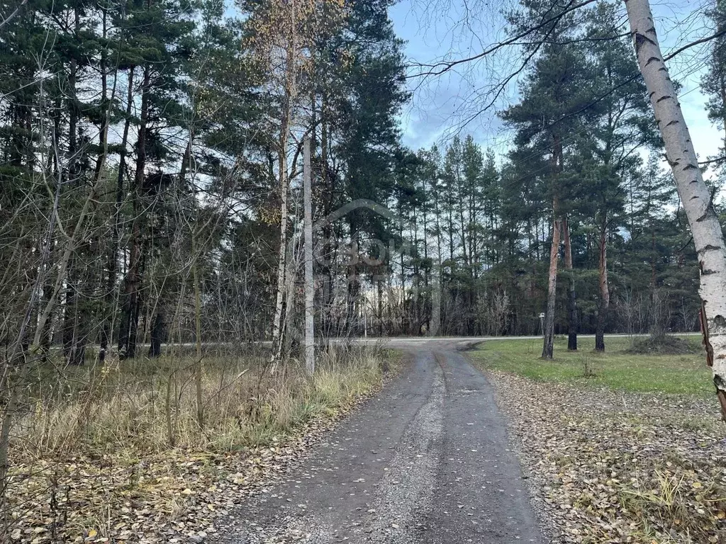 Участок в Рязанская область, Рязанский муниципальный округ, пос. ... - Фото 0