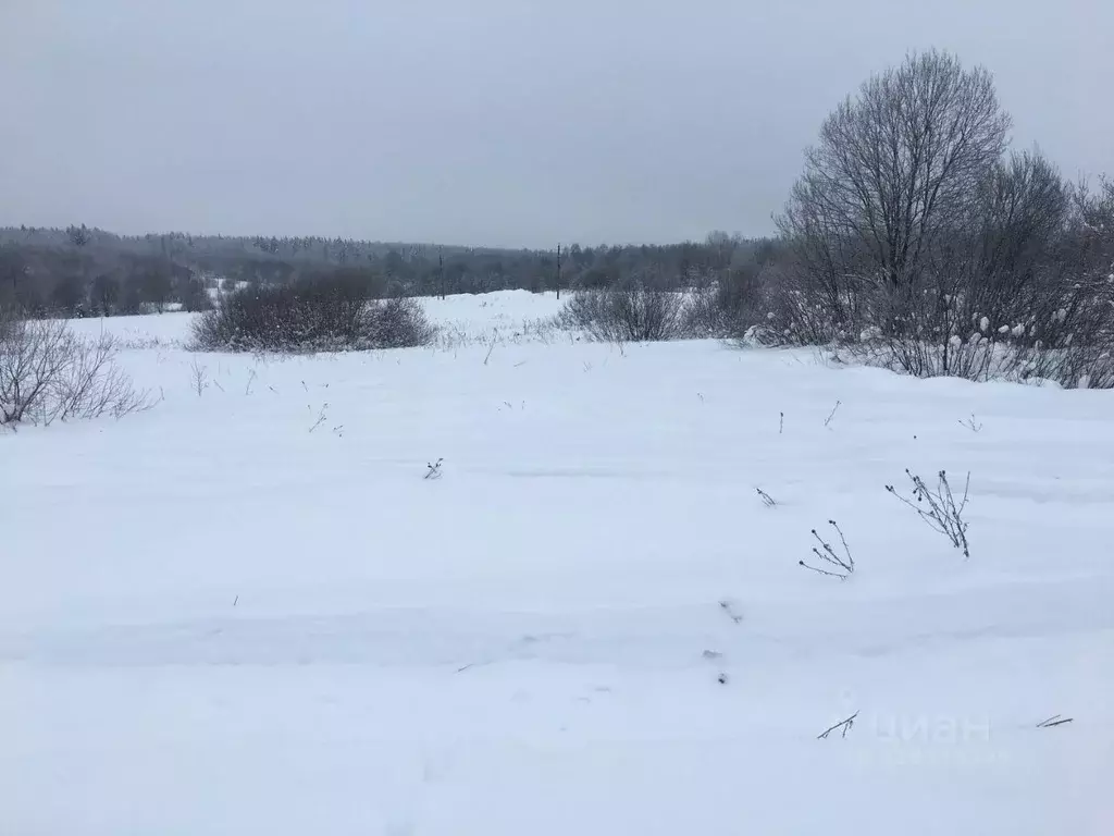 Участок в Московская область, Пушкинский городской округ, д. ... - Фото 2