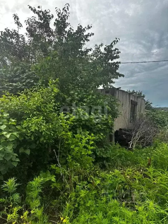Участок в Амурская область, Благовещенск Мебельной Фабрики СТ,  (5.9 ... - Фото 0