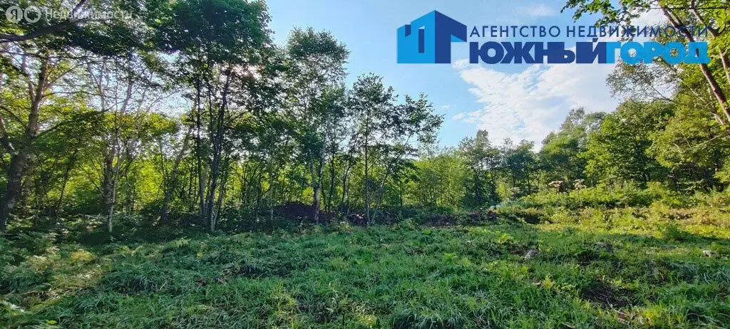 Участок в Сахалинская область, Анива (8 м) - Фото 1