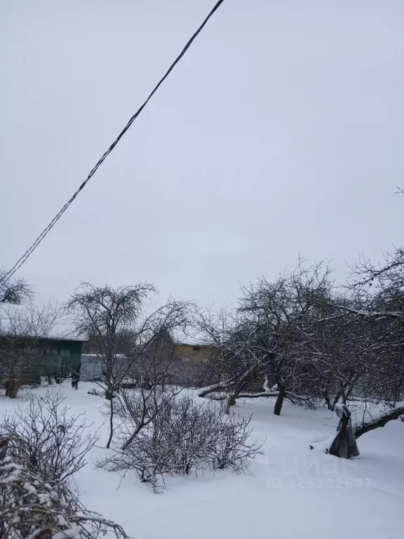 Участок в Калининградская область, Калининград Октябрьское СНТ, ул. ... - Фото 2