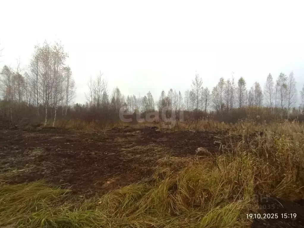 Участок в Тверская область, Конаковский муниципальный округ, Деревня ... - Фото 2