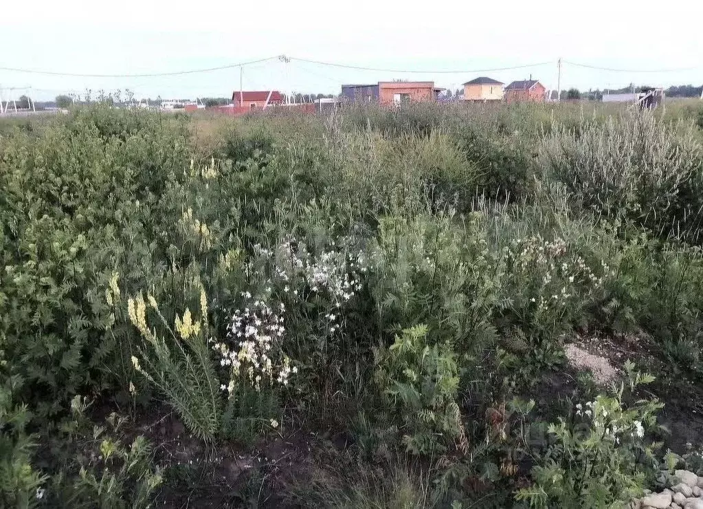 Участок в Ленинградская область, Гатчинский муниципальный округ, ... - Фото 2