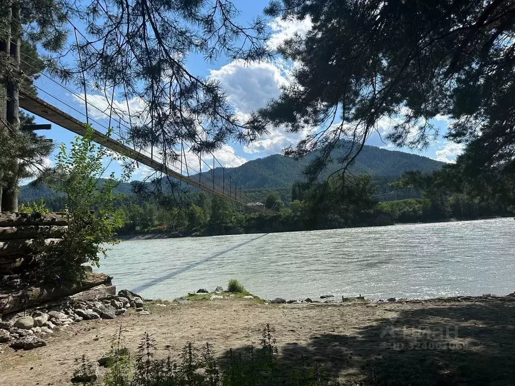 Участок в Алтай, Чемальский район, Узнезинское с/пос  (15.0 сот.) - Фото 1