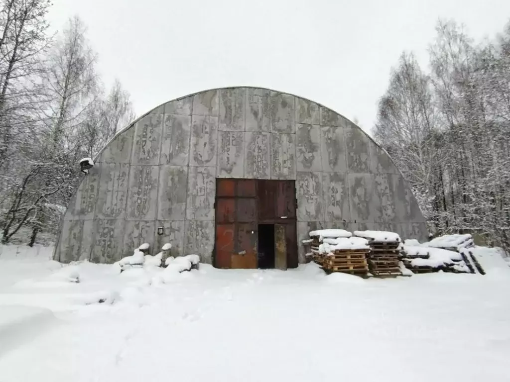 Склад в Московская область, Щелково городской округ, Ветеран СПК ул. ... - Фото 0