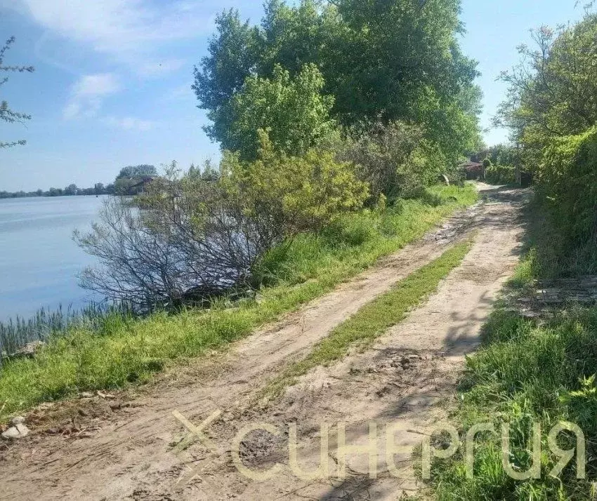 Участок в Ростовская область, Азовский район, Елизаветинское с/пос, ... - Фото 1