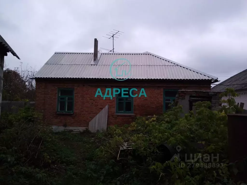 Дом в Белгородская область, Новооскольский городской округ, с. ... - Фото 2