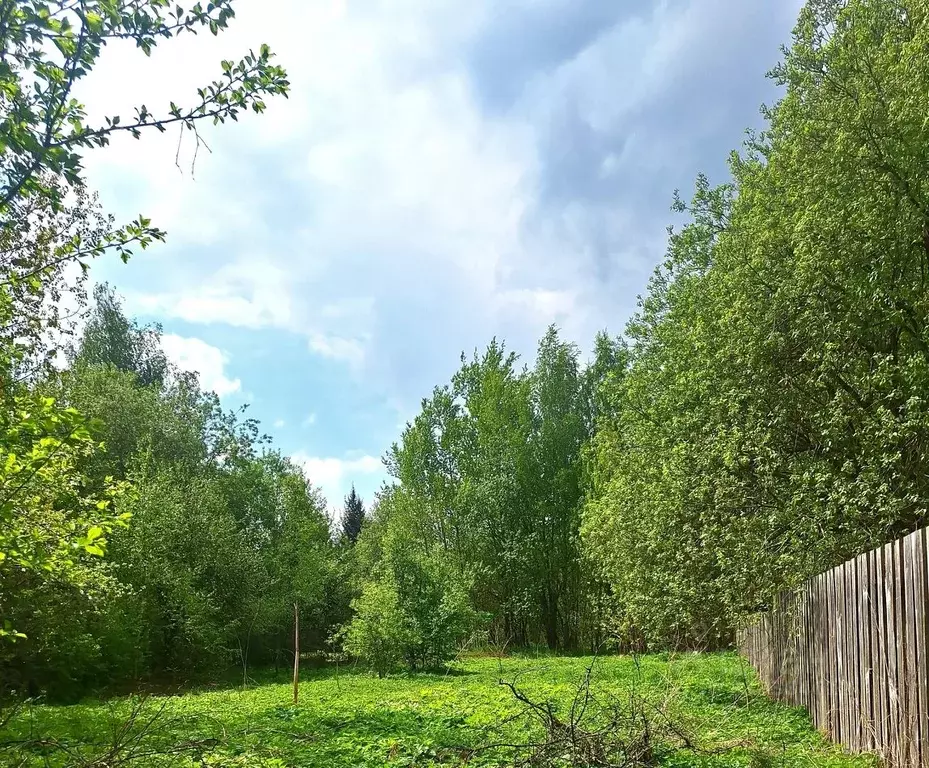 Участок в Московская область, Солнечногорск городской округ, д. ... - Фото 1