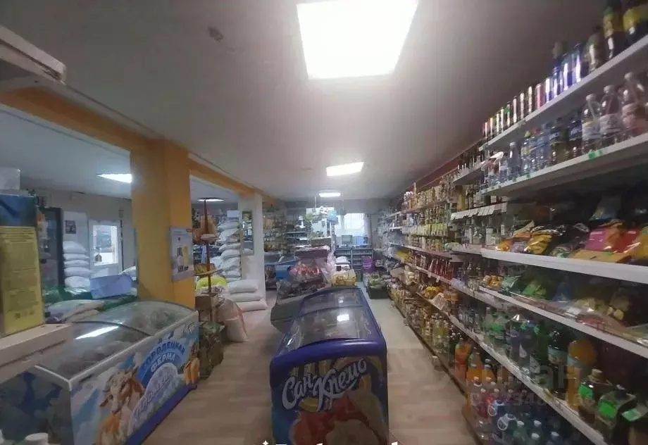 Торговая площадь в Пермский край, Александровск Яйва пгт, ул. Максима ... - Фото 1