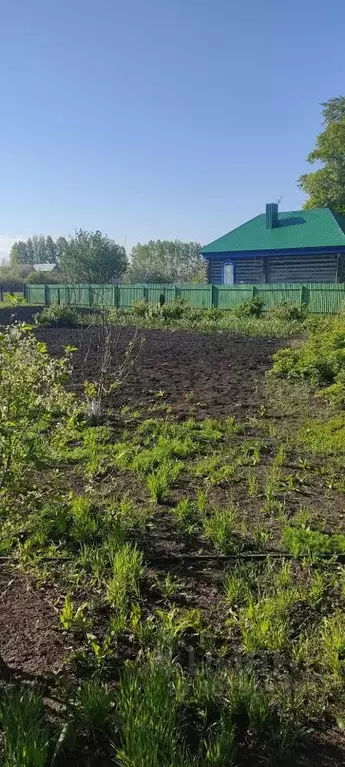 Участок в Башкортостан, Кармаскалинский район, Кабаковский сельсовет, ... - Фото 0