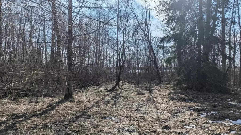Участок в Новгородская область, Демянский муниципальный округ, деревня ... - Фото 1
