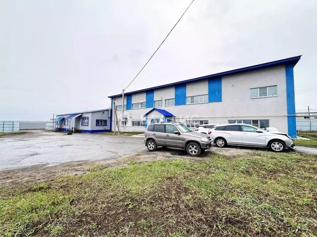 Помещение свободного назначения в Пензенская область, Пензенский ... - Фото 1