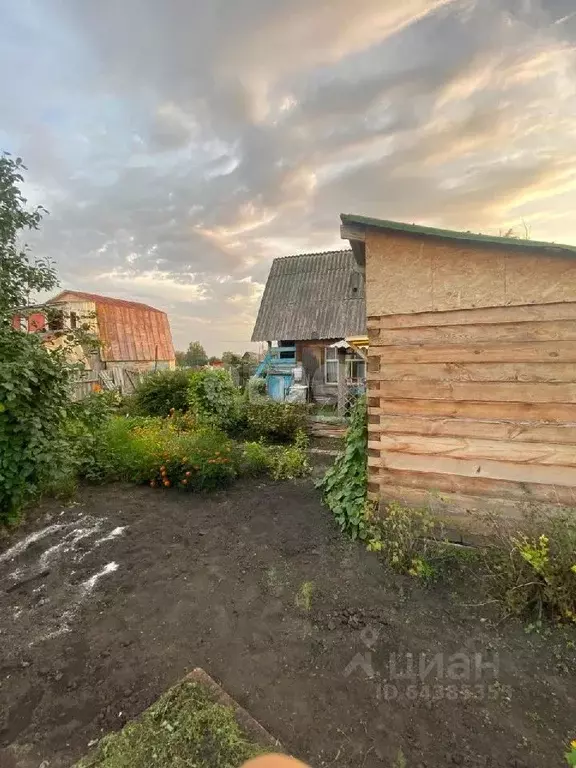 Дом в Алтайский край, Зональный район, Изобилие СДТ ул. Садовая (30 м) - Фото 1