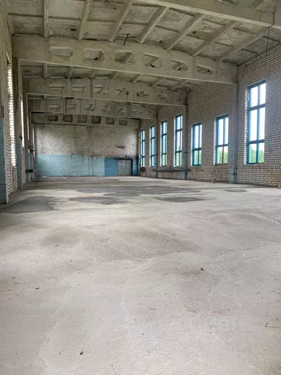 Склад в Московская область, Талдомский городской округ, д. Ермолино 67 ... - Фото 0