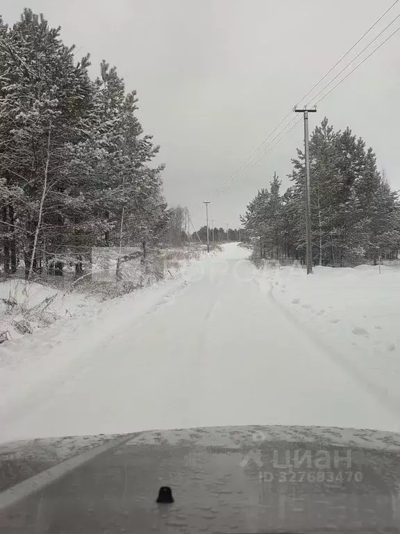 Участок в Алтайский край, Первомайский район, Санниковский сельсовет, ... - Фото 1