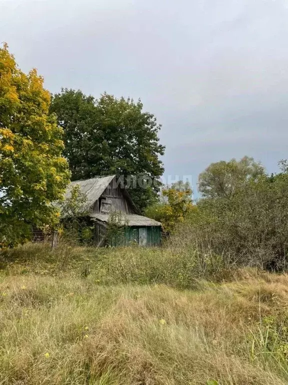 Участок в Брянская область, Выгоничское городское поселение, пос. ... - Фото 0