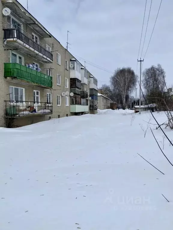1-к кв. Нижегородская область, Богородский муниципальный округ, с. ... - Фото 1