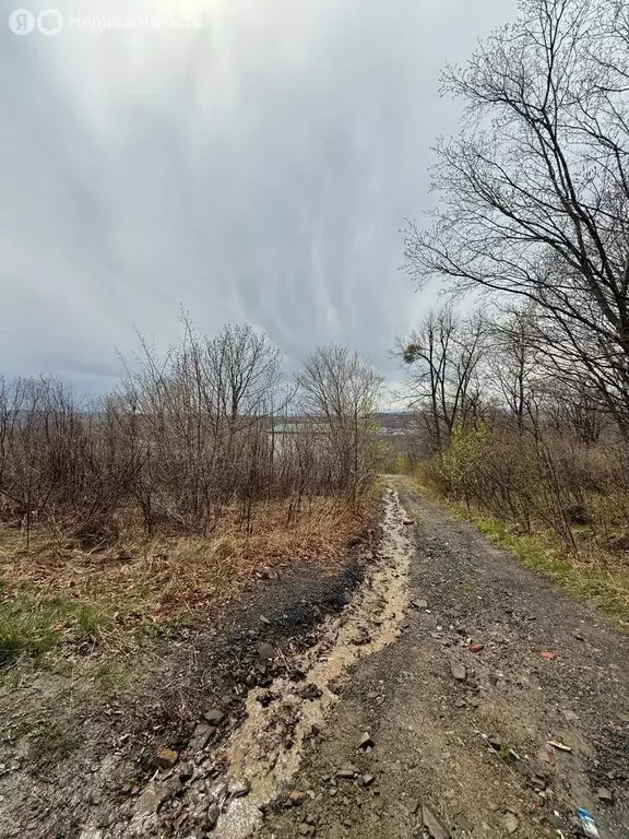 Участок в Артём, СТ Глобус-1 (10 м) - Фото 1