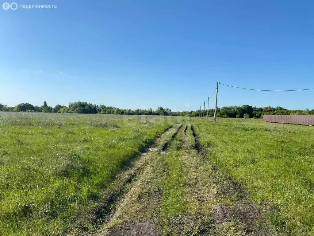 Участок в Воронеж, Краснознамённая улица (10 м) - Фото 1