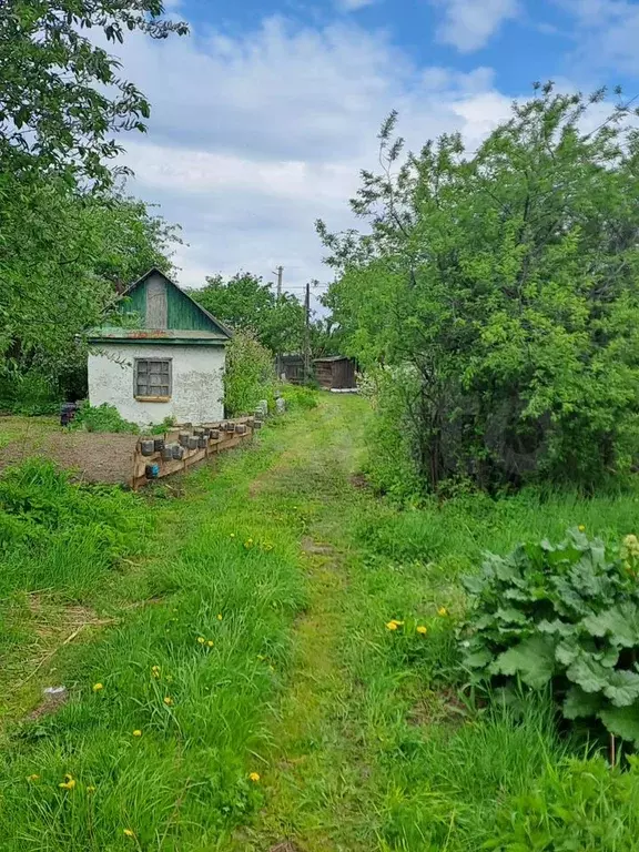 Участок 4,5 сот. (СНТ, ДНП) - Фото 0