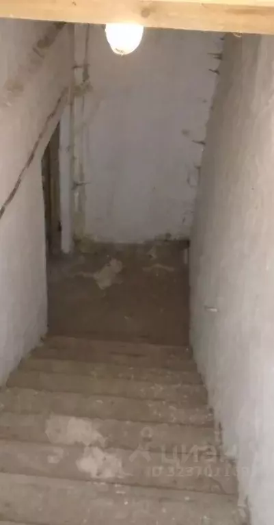 Помещение свободного назначения в Новосибирская область, Новосибирск ... - Фото 1