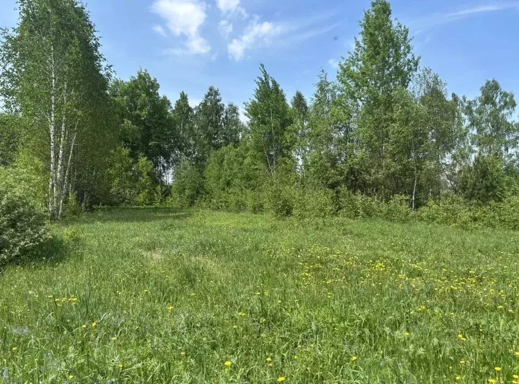 Участок в Московская область, Павлово-Посадский городской округ, д. ... - Фото 2