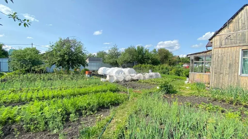 Дом в Пензенская область, Пенза Зеленая Роща садовое дачное ... - Фото 1