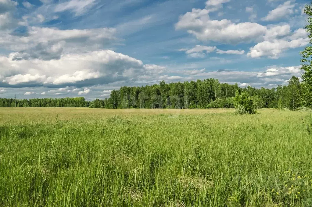 Участок в Владимирская область, Александровский муниципальный округ, ... - Фото 2