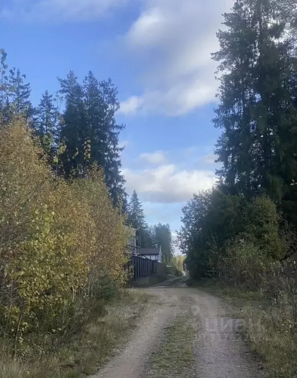 Участок в Ленинградская область, Всеволожский район, Сертоловское ... - Фото 0