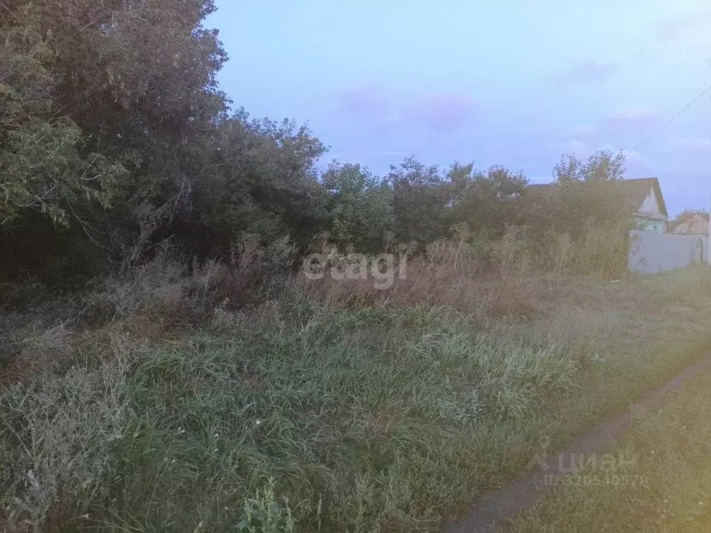 Участок в Саратовская область, Балашовский район, Хоперское ... - Фото 1