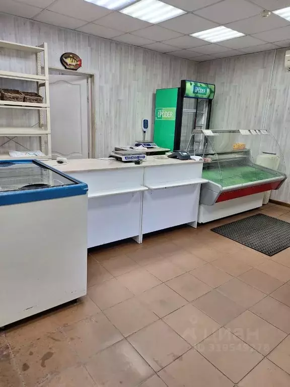 Торговая площадь в Ленинградская область, Всеволожский район, ... - Фото 1