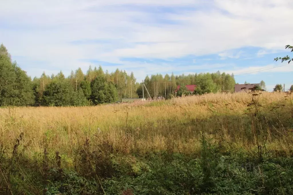 Участок в Московская область, Шаховская муниципальный округ, д. ... - Фото 1