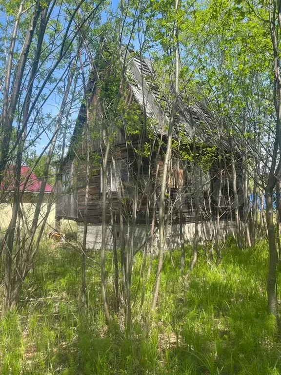 Дом 40 м на участке 6 сот. - Фото 1
