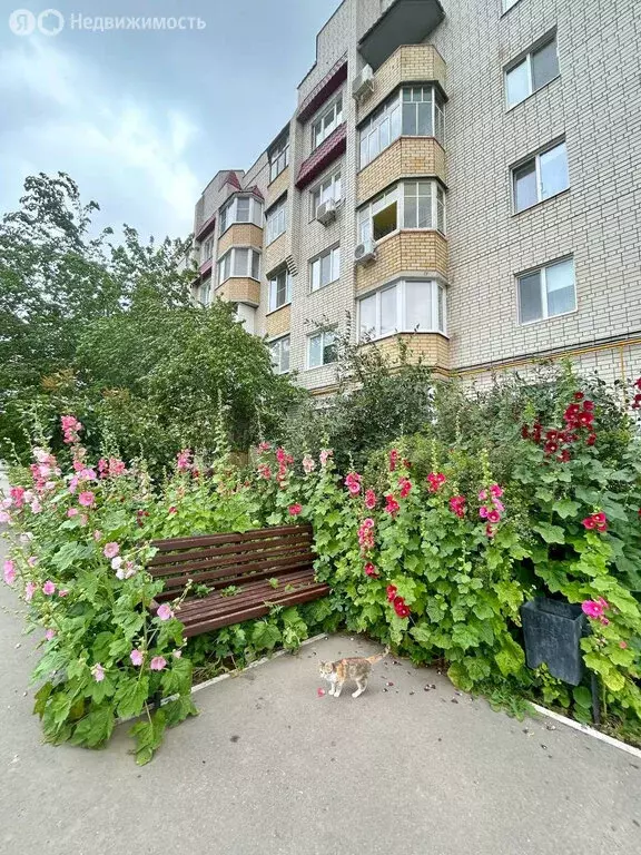 3-комнатная квартира: Энгельс, микрорайон Энгельс-1, 81 (78.8 м) - Фото 0