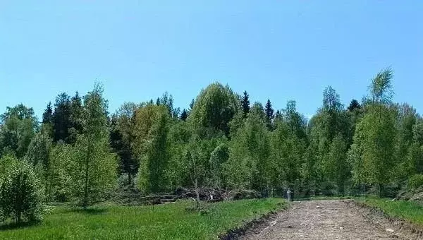 Участок в Ленинградская область, Выборгский район, Полянское с/пос, ... - Фото 1