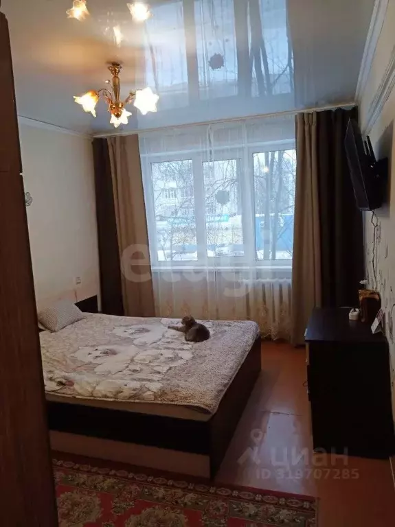 2-к кв. Брянская область, Брянск Полесская ул., 13 (53.0 м) - Фото 0