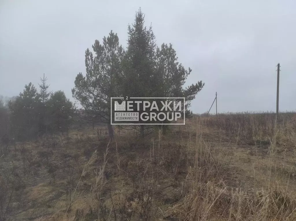 Участок в Московская область, Щелково городской округ, с. Трубино  ... - Фото 1