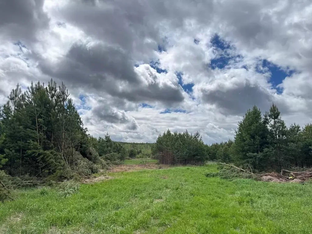 Участок в Свердловская область, Полевской муниципальный округ, с. ... - Фото 2