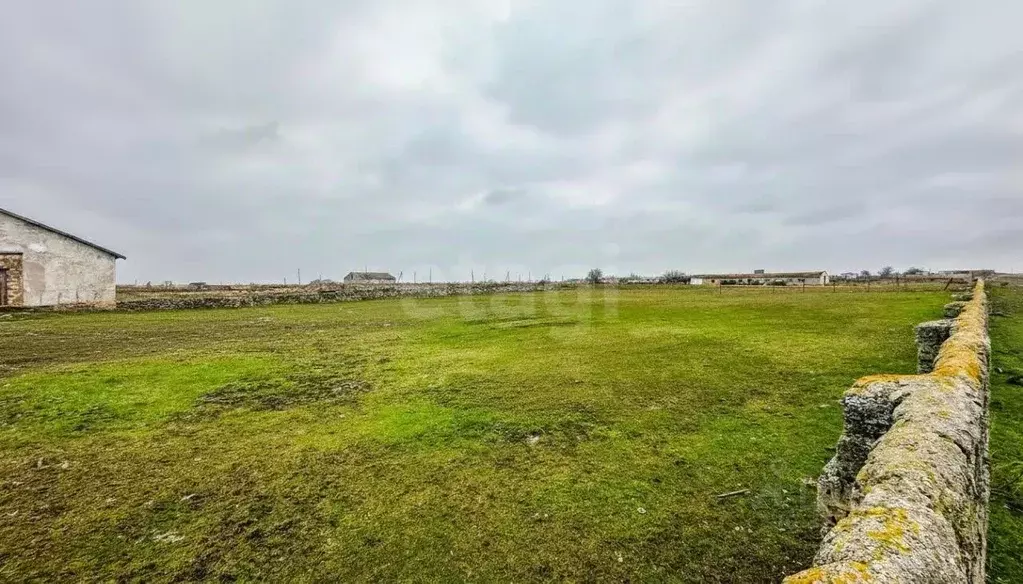 Участок в Крым, Черноморский район, Оленевское с/пос, с. Калиновка ул. ... - Фото 1