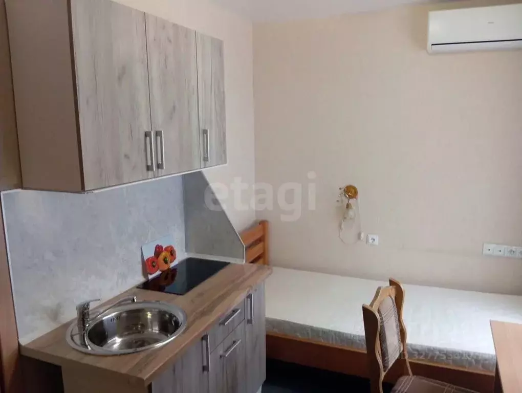 Студия Новосибирская область, Новосибирск ул. Белинского, 143 (12.0 м) - Фото 2