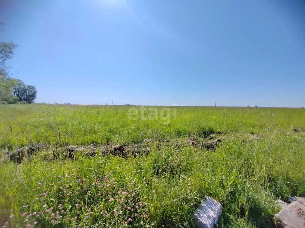 Участок в Московская область, Коломна городской округ, д. Андреевка 19 ... - Фото 0