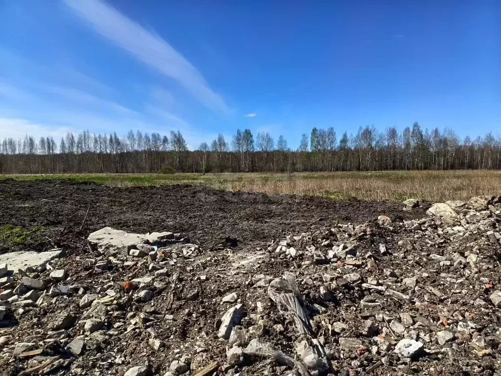 Участок в Свердловская область, Тугулымский муниципальный округ, пос. ... - Фото 1