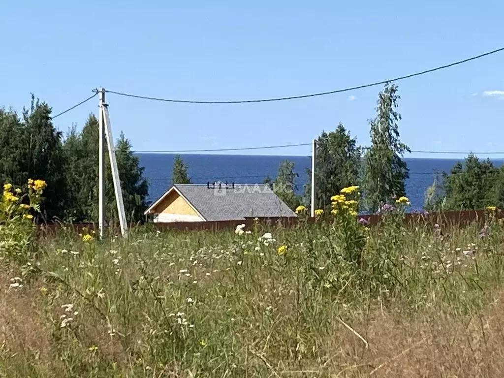 Участок в Ярославская область, Рыбинский муниципальный округ, ... - Фото 2