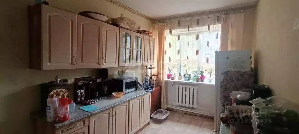 3-к кв. Белгородская область, Вейделевка рп ул. Гайдара, 3 (60.6 м) - Фото 1